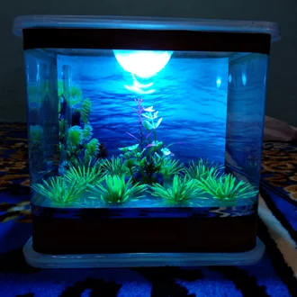 Detail Jual Aquarium Jogja Nomer 49