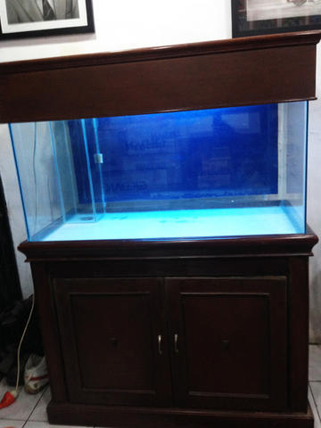 Detail Jual Aquarium Kaskus Nomer 12