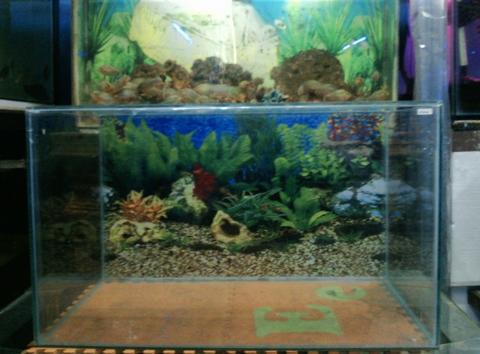 Detail Jual Aquarium Kaskus Nomer 22