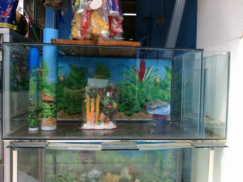 Detail Jual Aquarium Kaskus Nomer 36