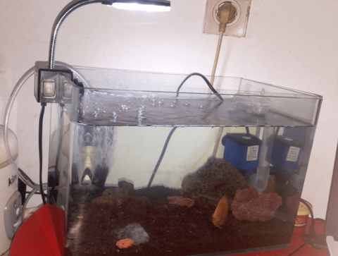 Detail Jual Aquarium Kaskus Nomer 39