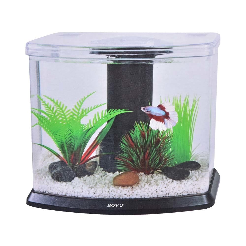 Detail Jual Aquarium Minimalis Nomer 21