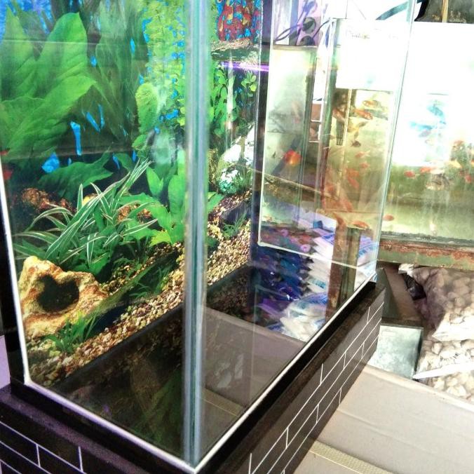 Detail Jual Aquarium Minimalis Nomer 22