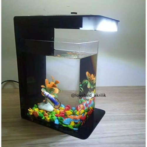 Detail Jual Aquarium Minimalis Nomer 23