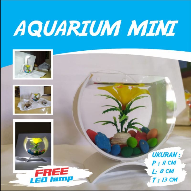 Detail Jual Aquarium Minimalis Nomer 28