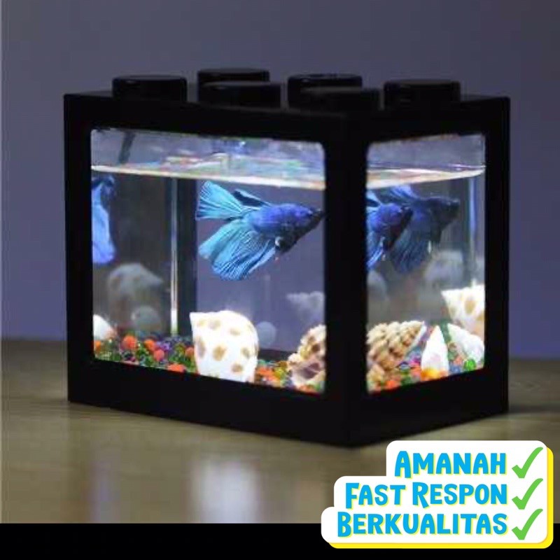 Detail Jual Aquarium Minimalis Nomer 33