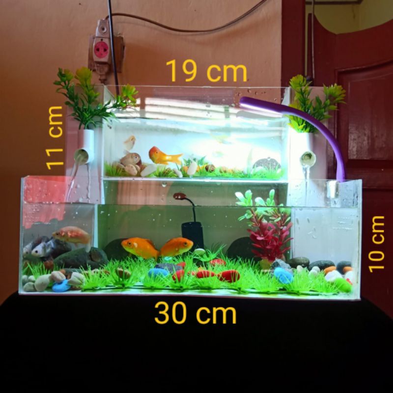 Detail Jual Aquarium Minimalis Nomer 40