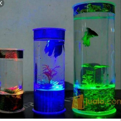 Detail Jual Aquarium Minimalis Nomer 9