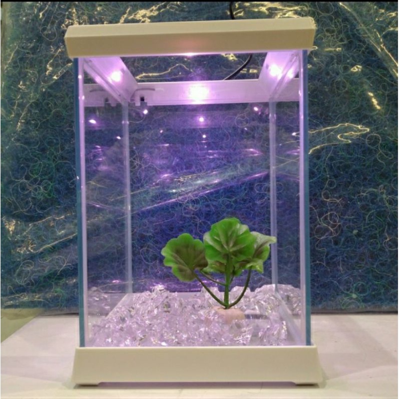 Detail Jual Aquarium Minimalis Nomer 10