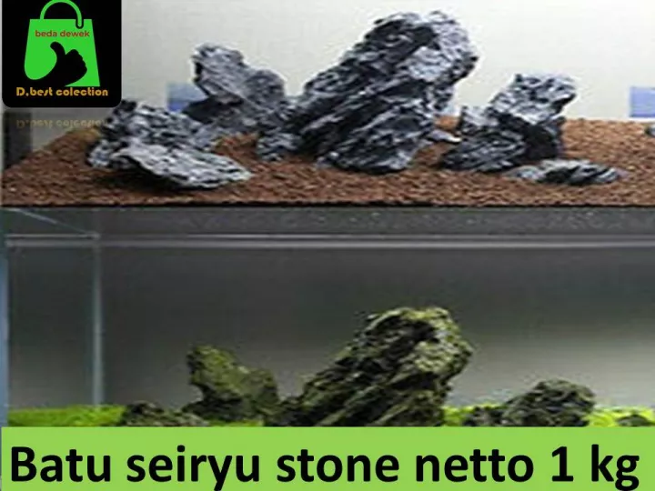 Detail Jual Batu Aquascape Nomer 45