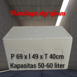 Detail Jual Box Styrofoam Bandung Nomer 19