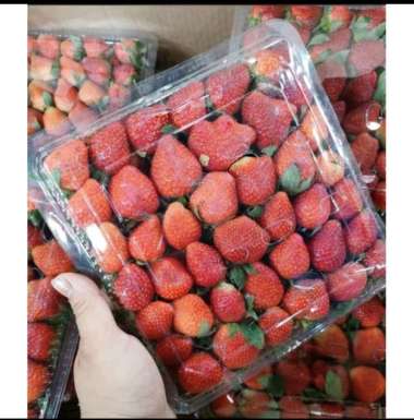 Detail Jual Buah Strawberry Online Nomer 13