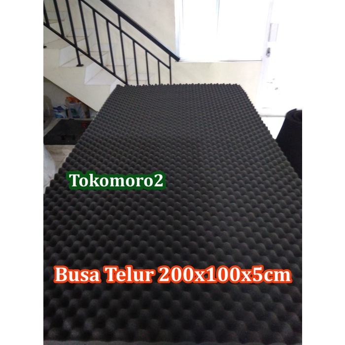 Detail Jual Busa Telur Nomer 38