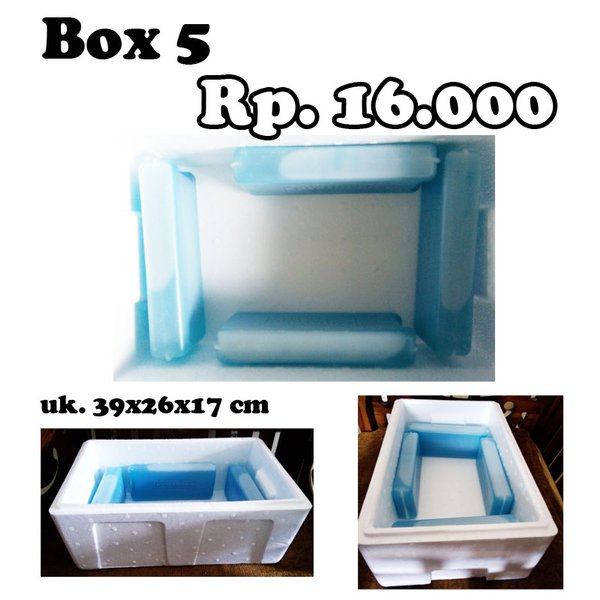 Detail Jual Kotak Styrofoam Nomer 9