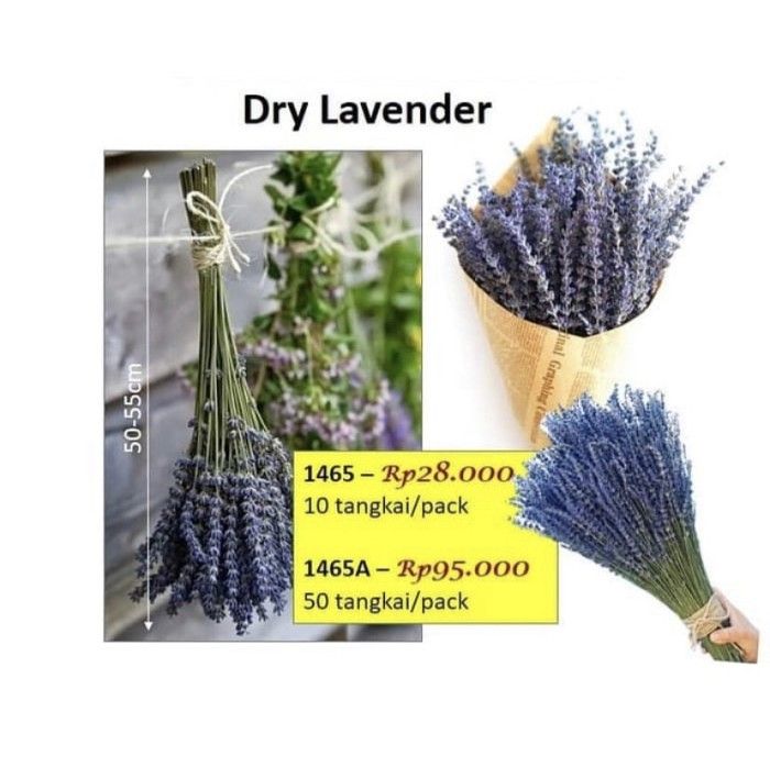 Detail Jual Lavender Kering Nomer 4