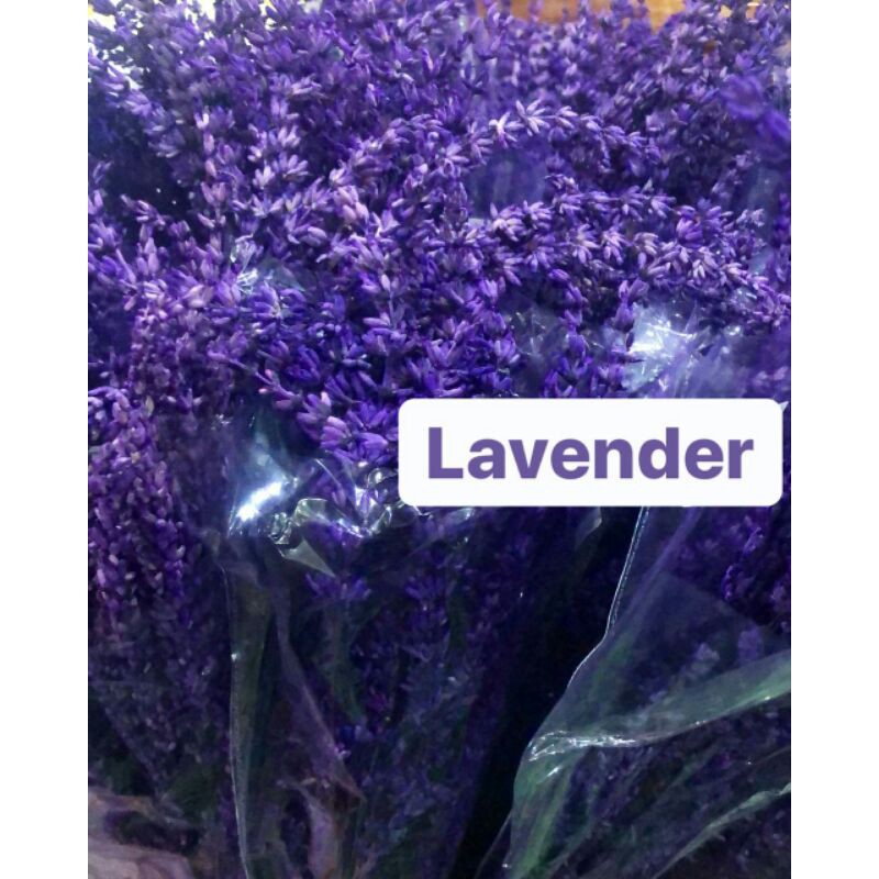 Detail Jual Lavender Kering Nomer 35