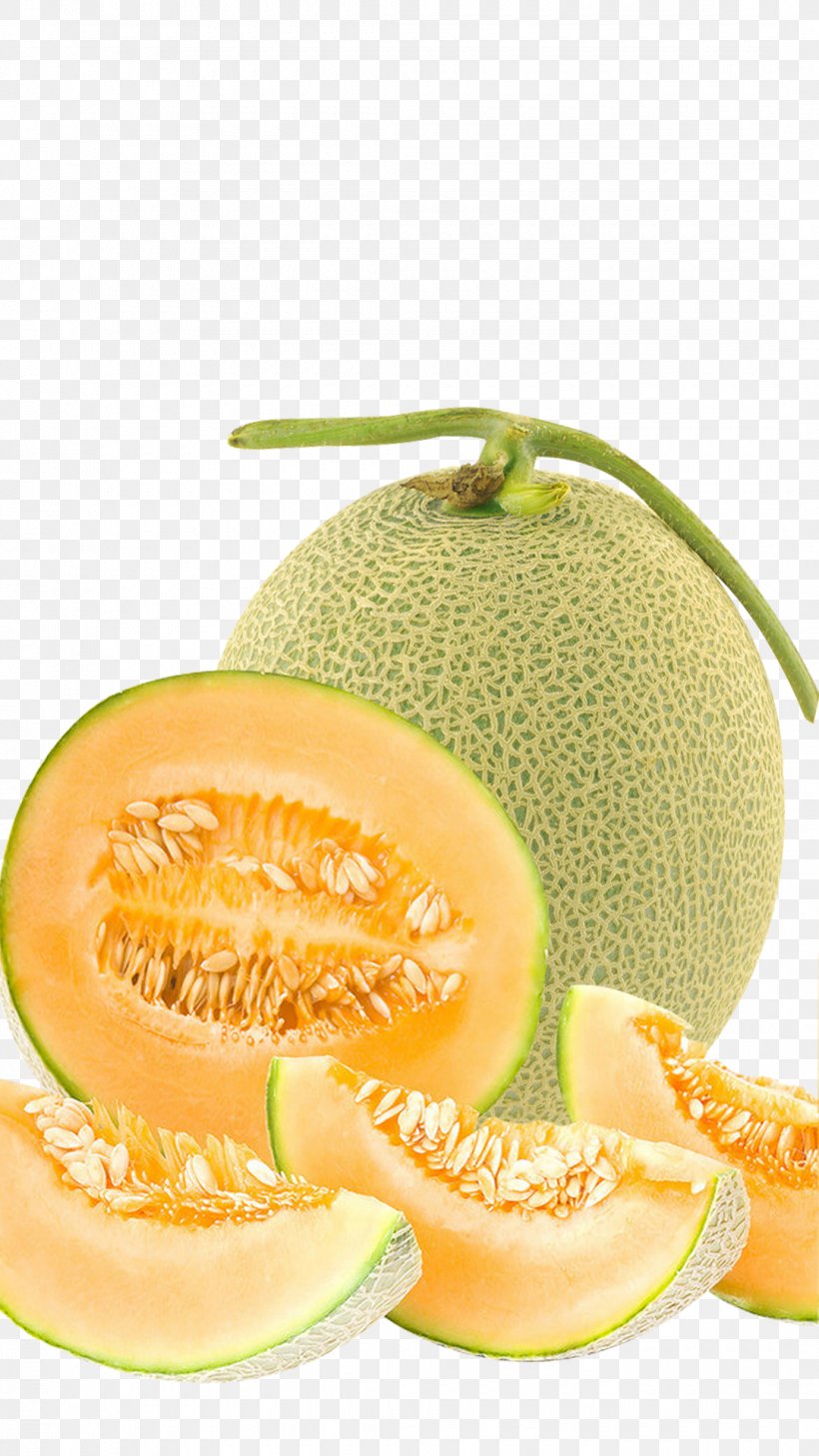 Detail Juice Melon Png Nomer 50