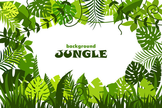 Detail Jungle Background Png Nomer 40