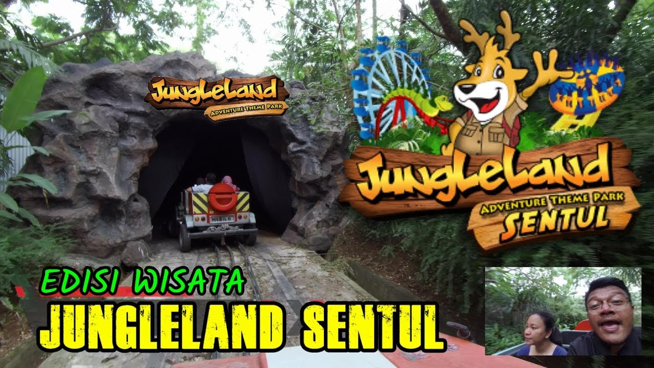 Detail Jungle Land Logo Nomer 34