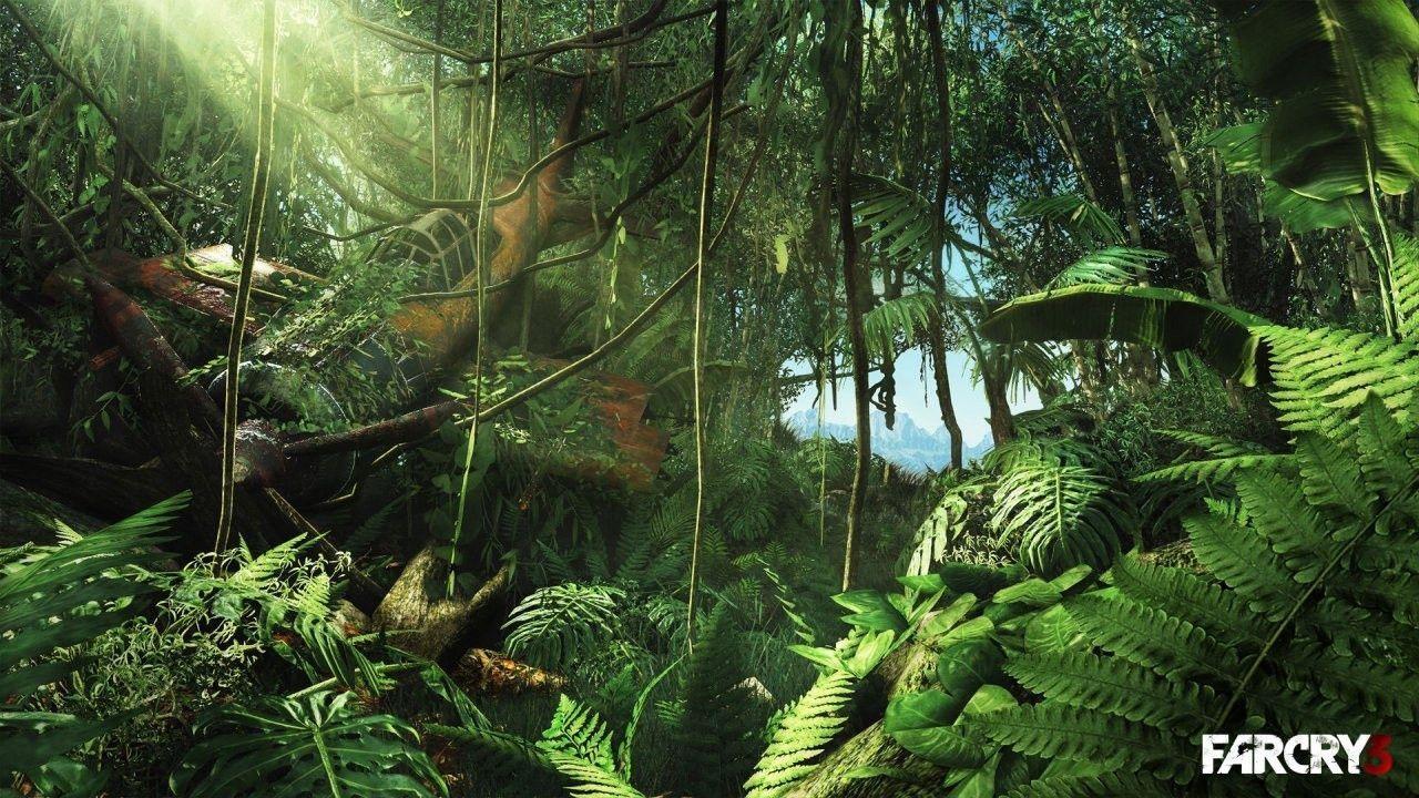 Detail Jungle Wallpaper Hd Nomer 16