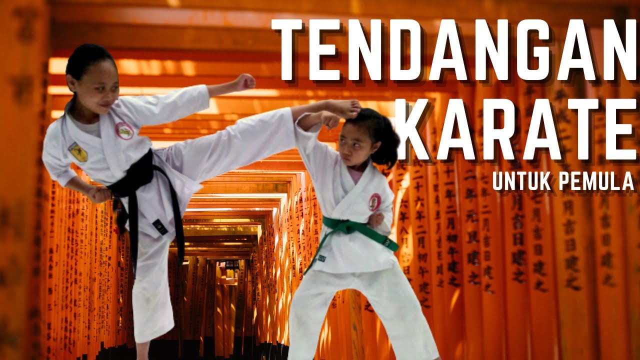 Detail Jurus Tendangan Karate Nomer 14