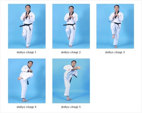 Detail Jurus Tendangan Karate Nomer 20