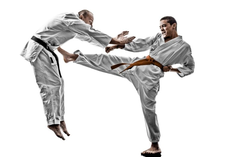Detail Jurus Tendangan Karate Nomer 29