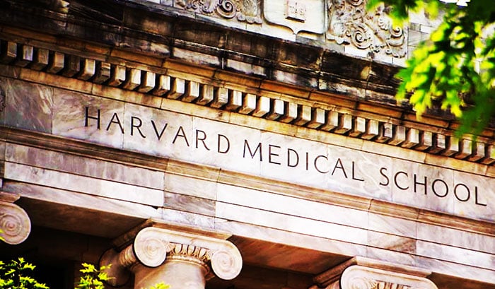 Detail Jurusan Kedokteran Di Stanford University Nomer 42