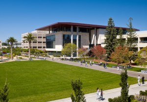 Detail Jurusan Kedokteran Di Stanford University Nomer 43