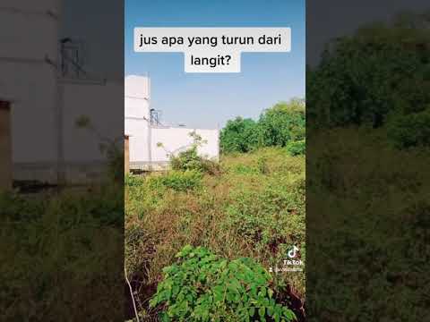 Jus Apa Yang Turun Dari Langit - KibrisPDR
