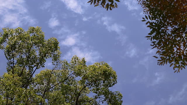 Detail Jus Apa Yang Turun Dari Langit Nomer 23