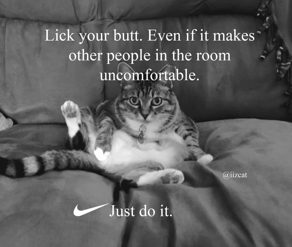 Detail Just Do It Meme Nomer 31