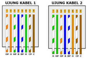 Detail Kabel Lan Warna Nomer 2