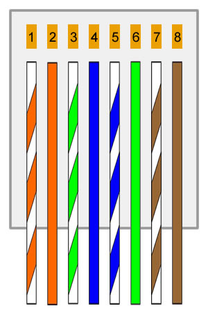 Detail Kabel Lan Warna Nomer 20