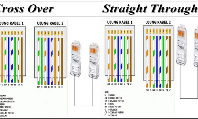 Detail Kabel Lan Warna Nomer 30