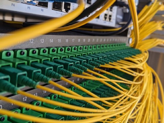 Detail Kabel Patch Panel Nomer 12