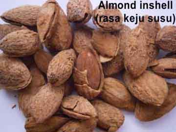 Detail Kacang Almond Dan Kenari Nomer 11