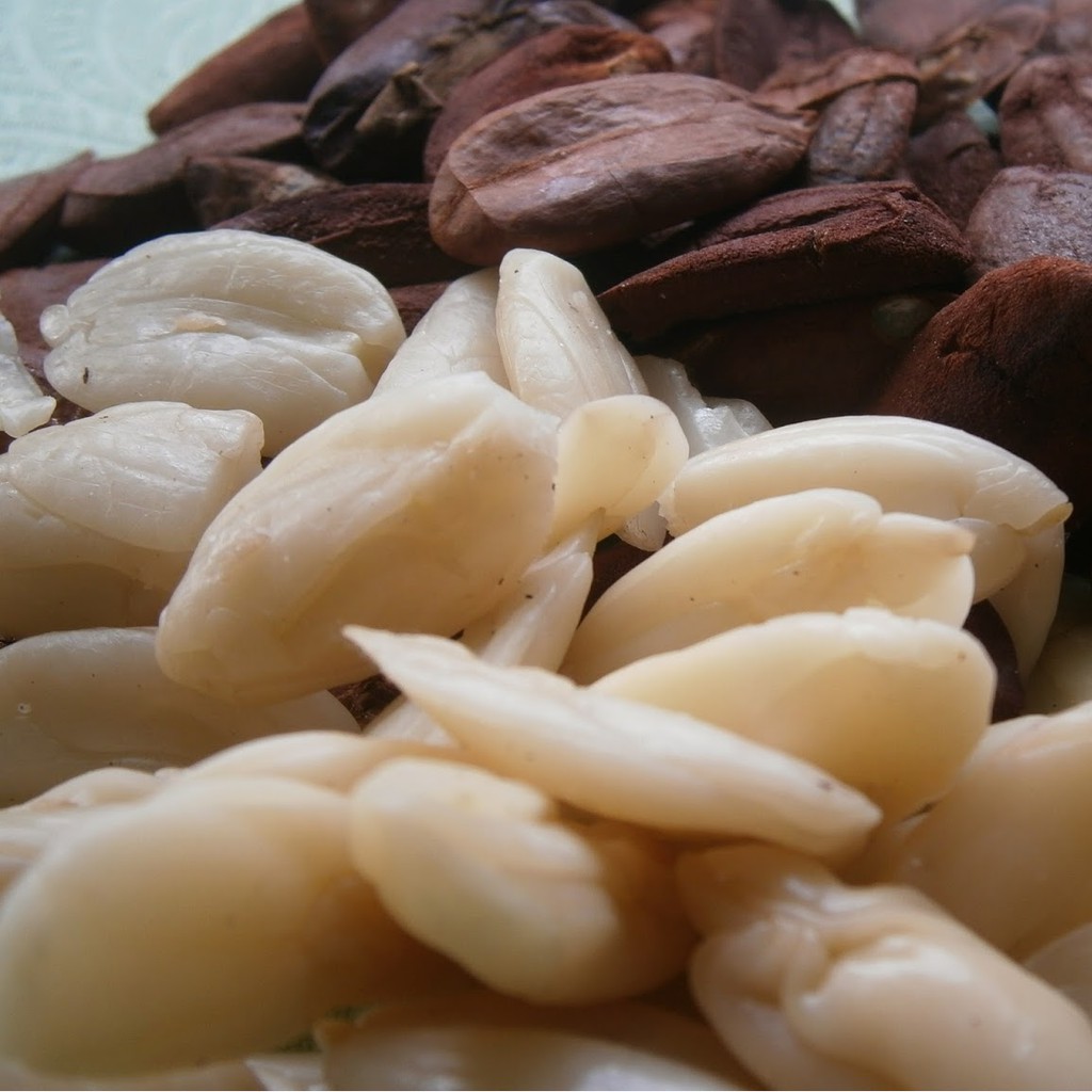 Detail Kacang Almond Dan Kenari Nomer 14