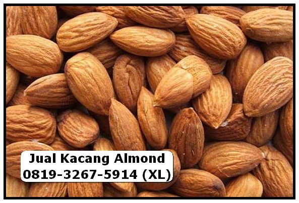 Detail Kacang Almond Dan Kenari Nomer 20