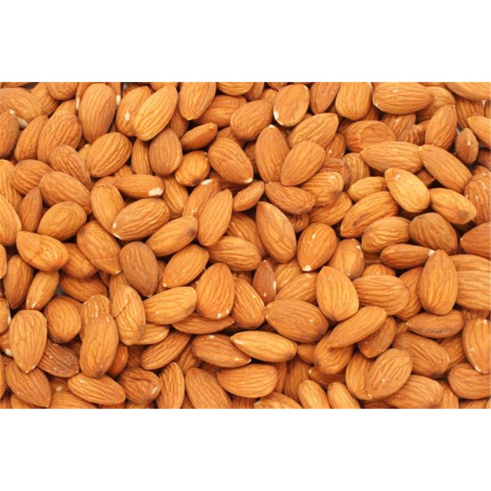 Detail Kacang Almond Dan Kenari Nomer 27