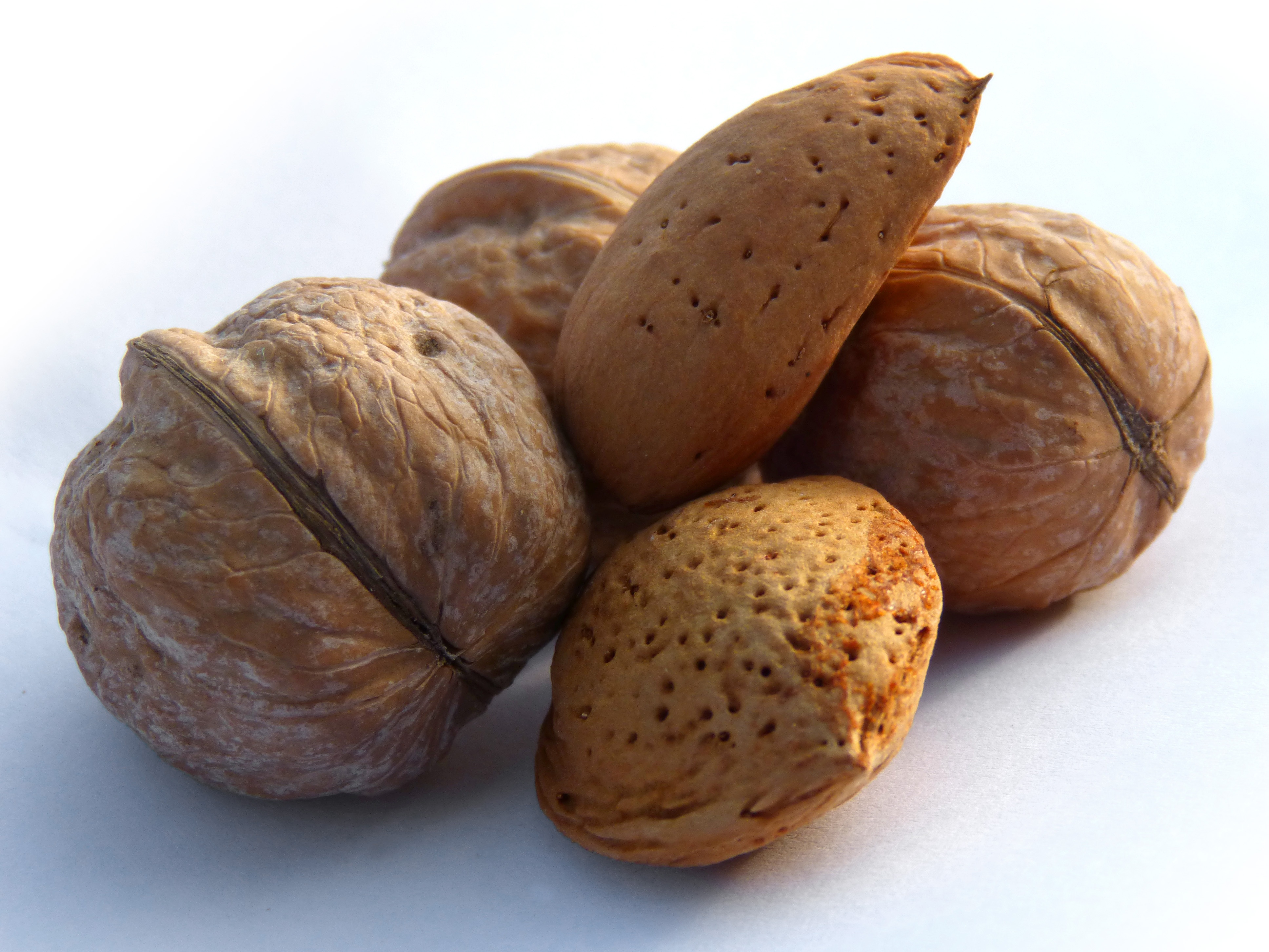 Detail Kacang Almond Dan Kenari Nomer 31