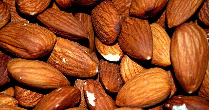 Detail Kacang Almond Dan Kenari Nomer 40