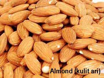 Detail Kacang Almond Dan Kenari Nomer 4