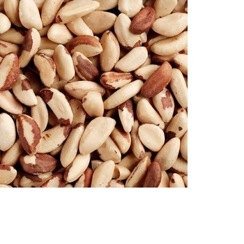 Detail Kacang Almond Dan Kenari Nomer 47