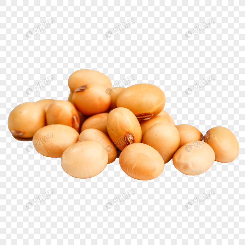 Detail Kacang Kacangan Png Nomer 26