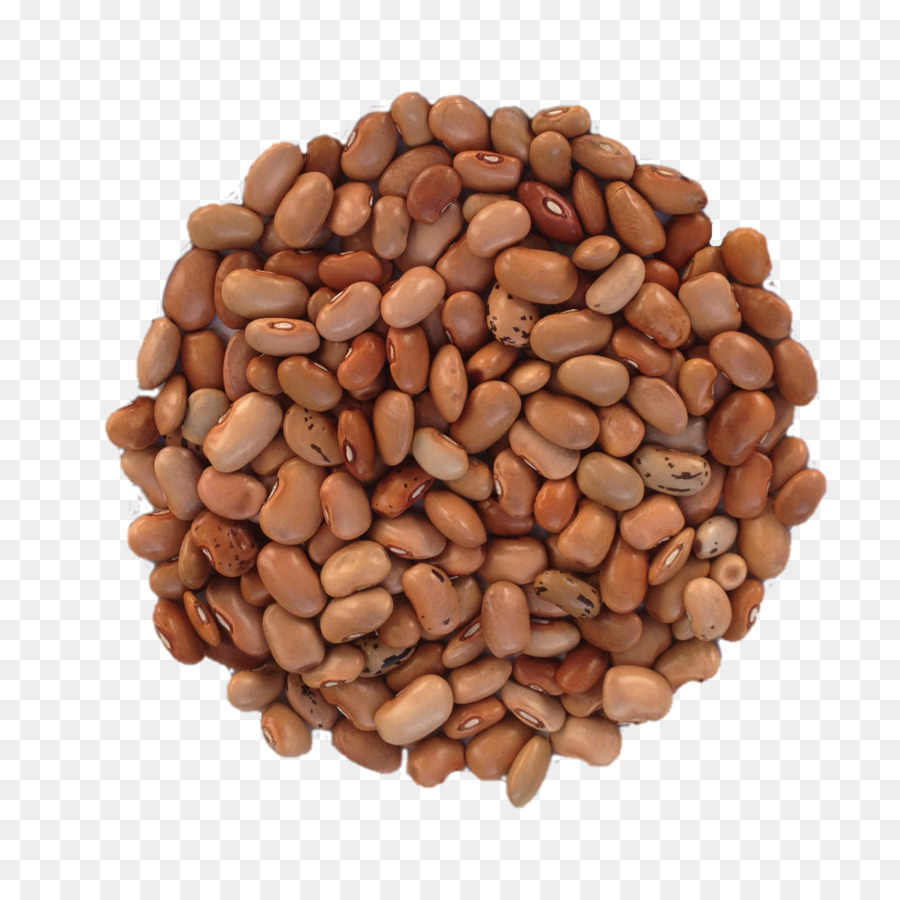 Detail Kacang Kacangan Png Nomer 30