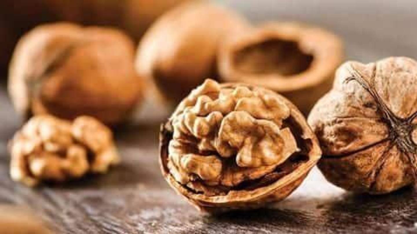 Detail Kacang Kenari Atau Walnut Nomer 16