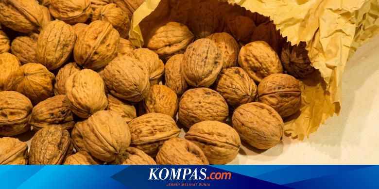 Detail Kacang Kenari Atau Walnut Nomer 33