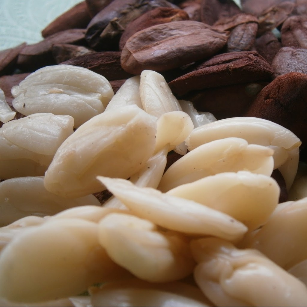 Detail Kacang Kenari Dan Almond Nomer 26