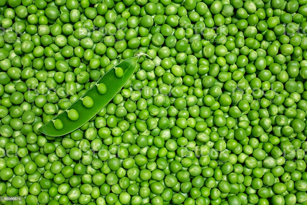 Detail Kacang Polong Hijau Nomer 40